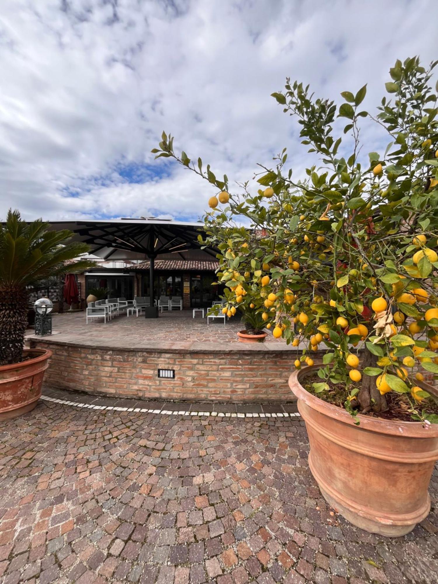 Agriturismo La Sapienza Monestirolo Exterior foto